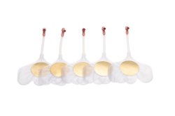 Luftvägar (lungor) till Little Baby QCPR, 24-pack