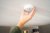 Brandvarnare Pebble, inkl. batteri, Housegard