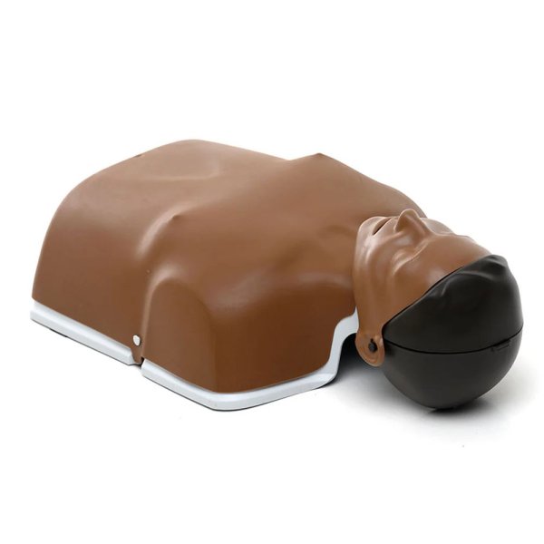 Little Anne (ny generation), mörk hud, 1-pack