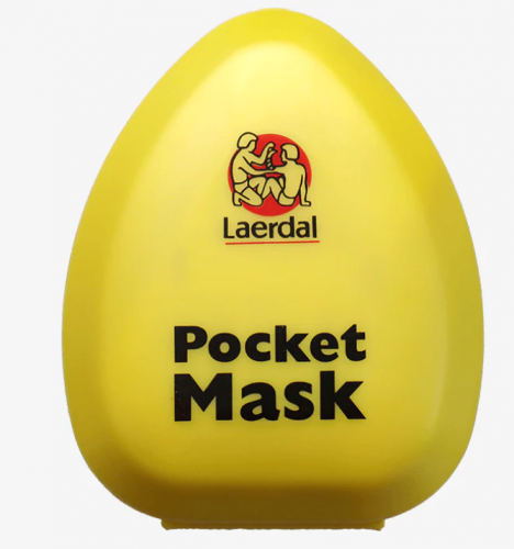 Pocketmask Leardal